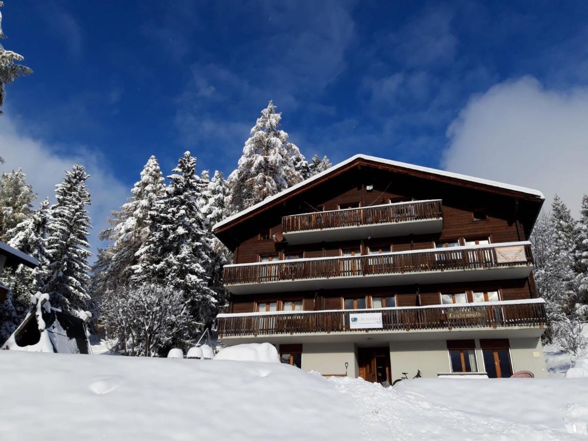 Laerchenwald Lodge Bellwald Exterior foto