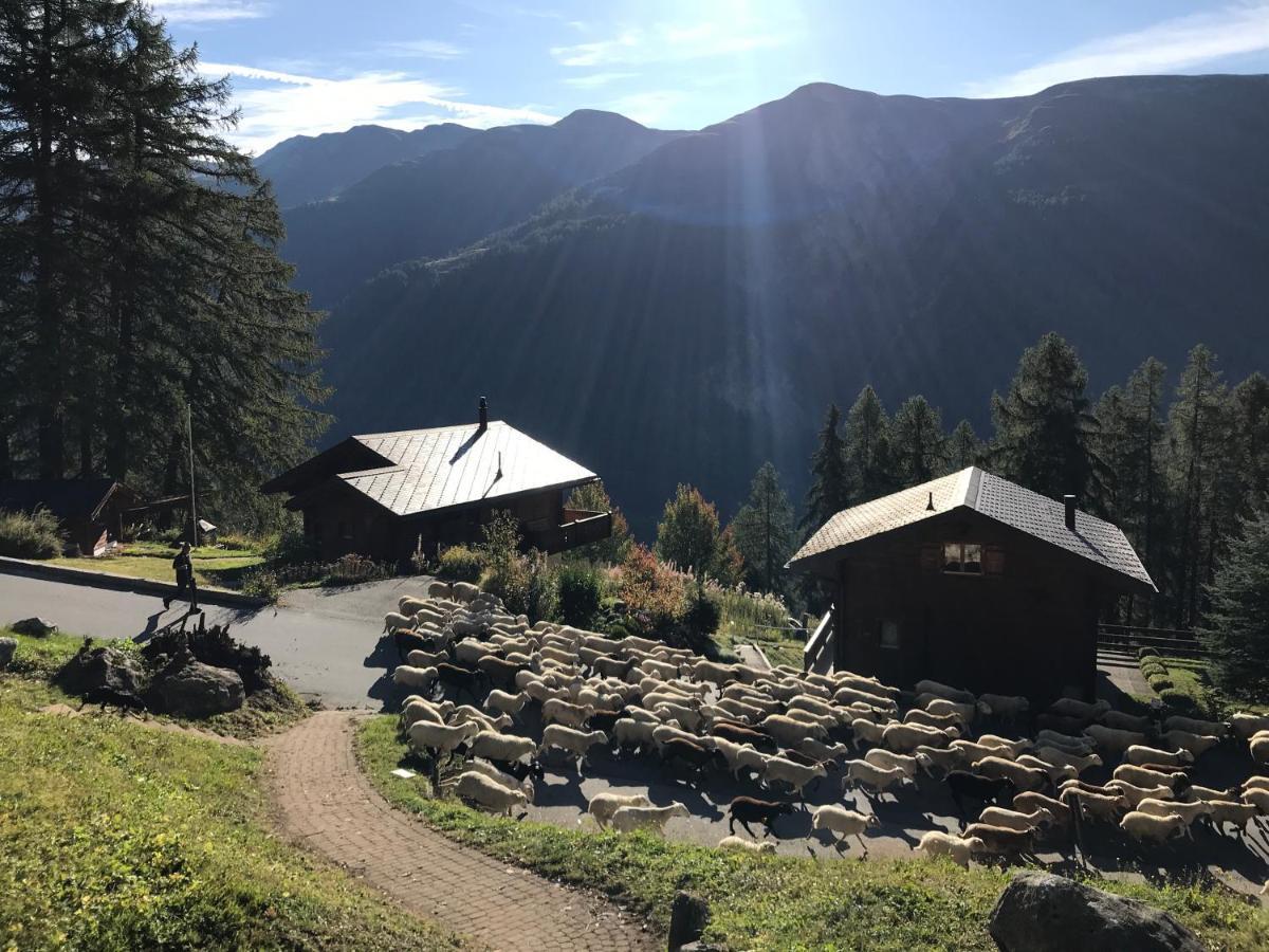 Laerchenwald Lodge Bellwald Exterior foto