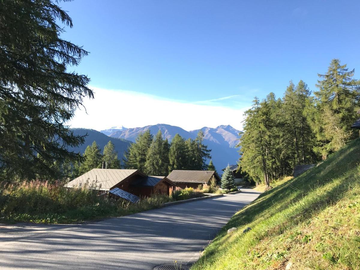 Laerchenwald Lodge Bellwald Exterior foto